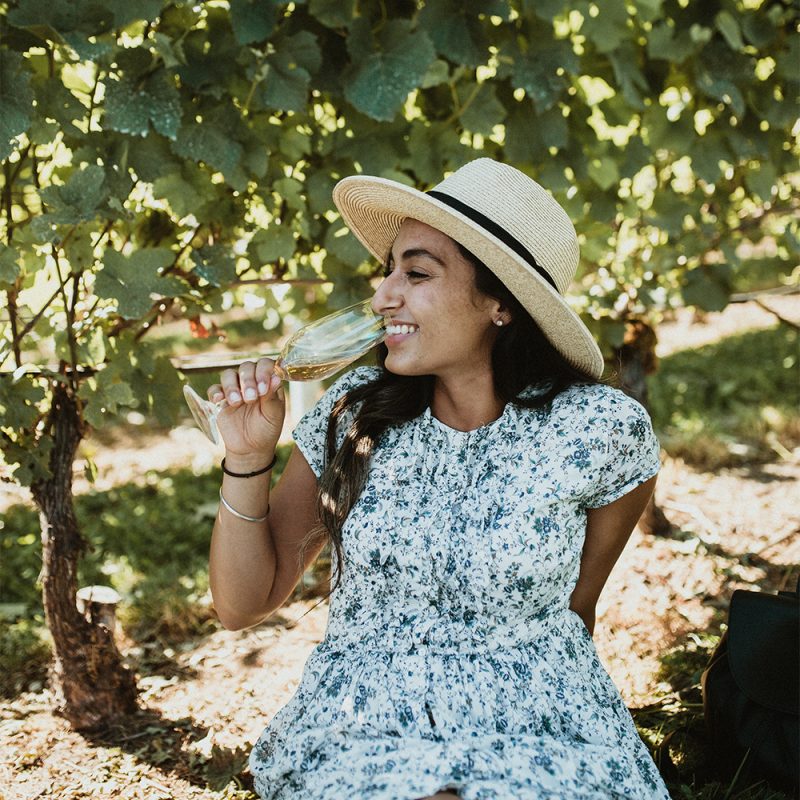wine